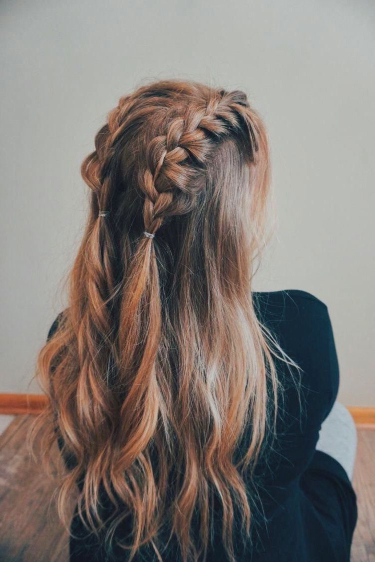 Doble trenzas de poni