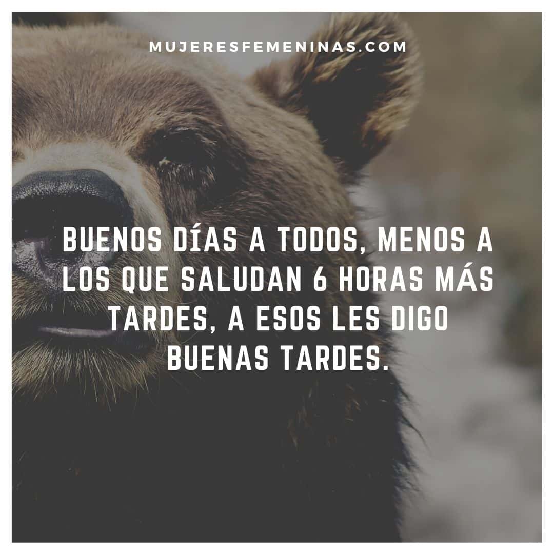 frases de buenas tardes graciosas