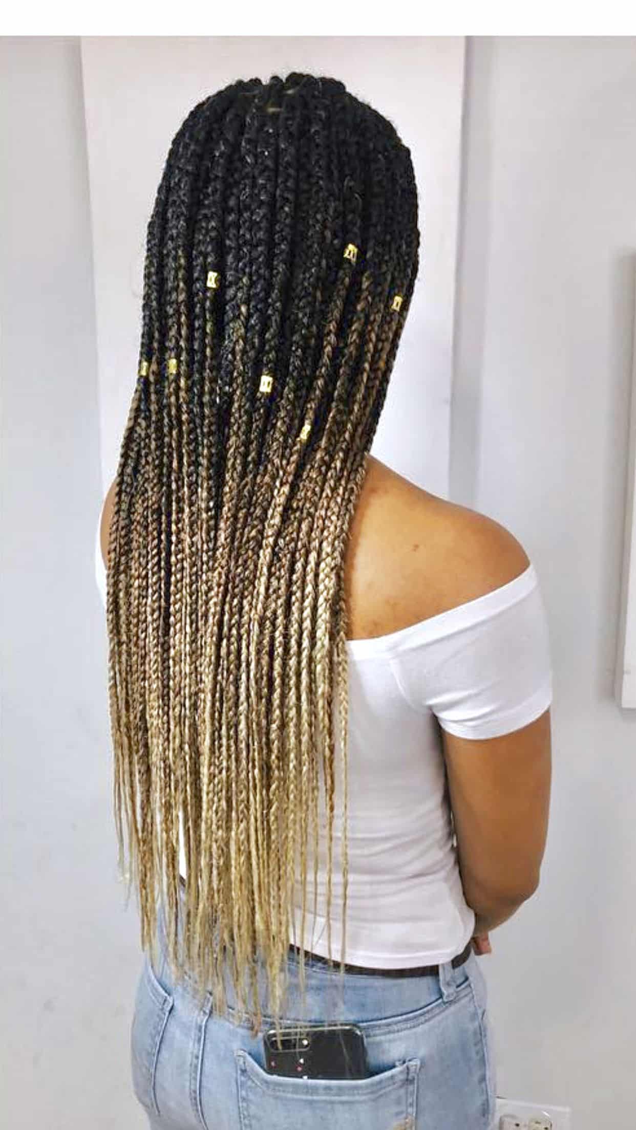 Trenza Ombre