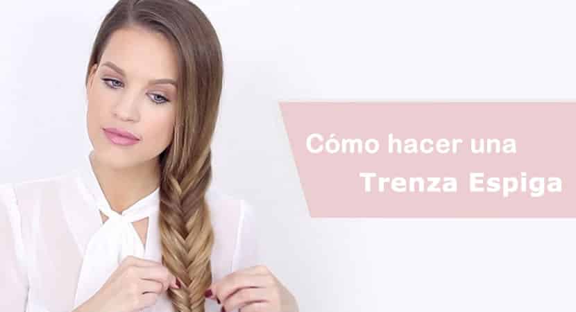 trenza espiga