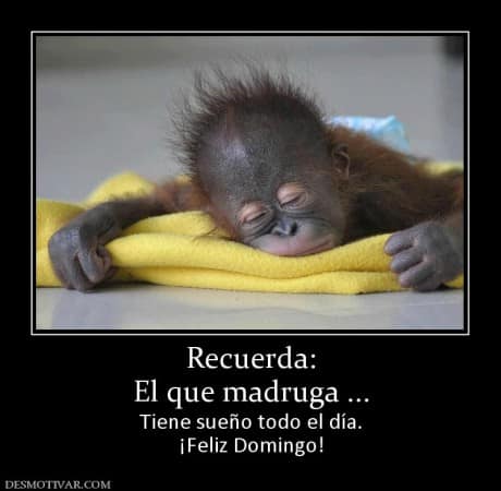 155077_recuerda-el-que-madruga-