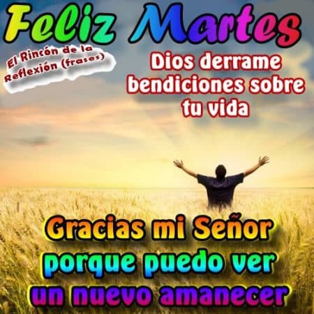 Imagenes Martes 45