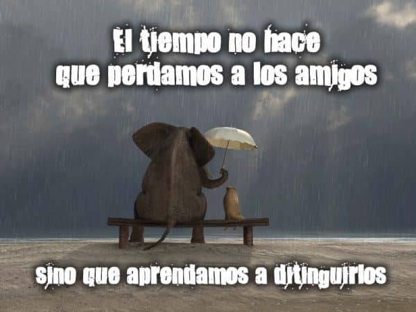 Imagenes con frases de amistad 2