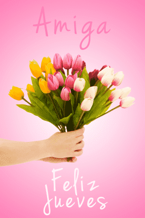 amiga feliz jueves flores tulipanes