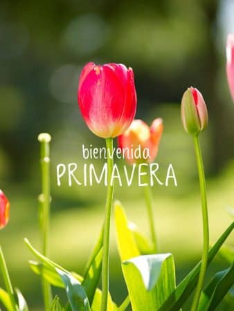 bienvenida primavera