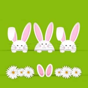 easter bunny background with daisies 1048 5316