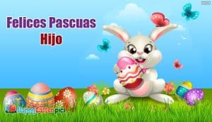 felices pascuas hijo 52650 18865