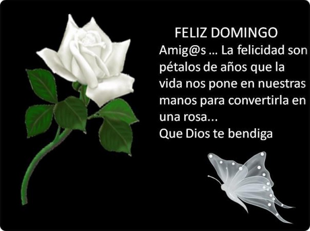 feliz-domingo10