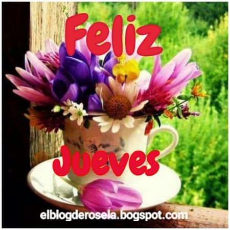 feliz jueves flores