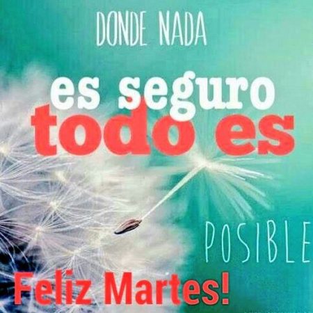 feliz martes mensaje positivo