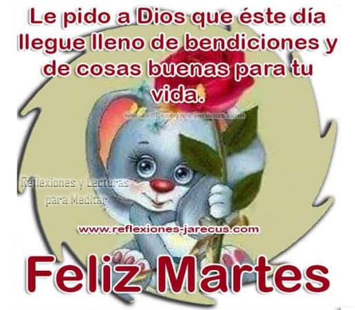 feliz martes para whatsapp