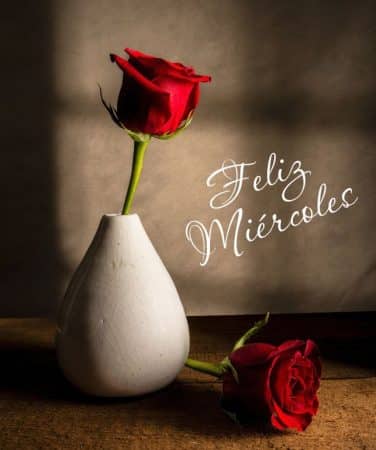 feliz miercoles flores