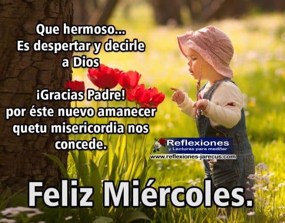 feliz miercoles que hermoso es despertar