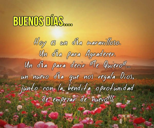 View 15 Frases Mensajes Buenos Dias Positivos Y Alegres - trendqcatholic