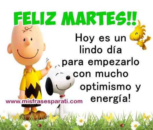 frases dedicar feliz martes para etiquetar compartir