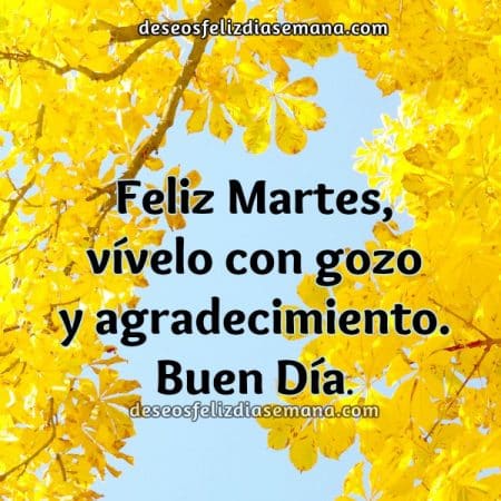 frases feliz martes buen dia