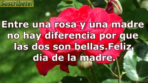 frases para el dia de la madre