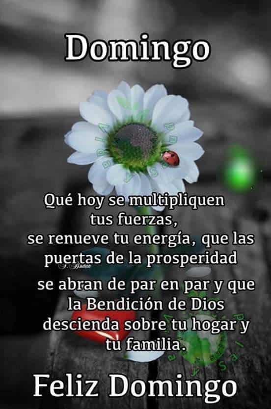 lindo domingo amor 1