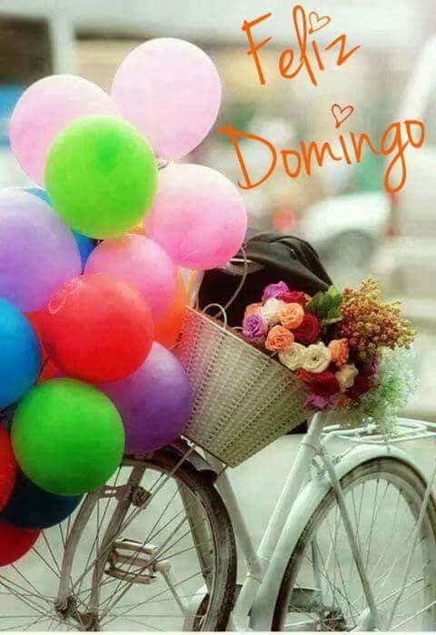 lindo domingo feliz domingo