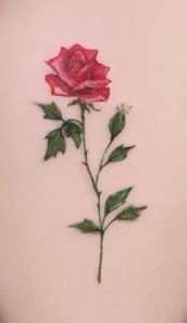 hermosa rosa tatuada costillas e1507565229713
