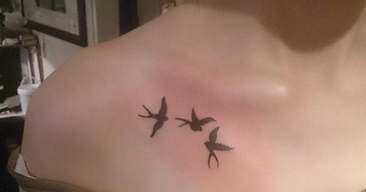 tatuajes en la clavicula animales aves